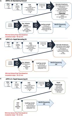 A Rapid, Whole Genome Sequencing Assay for Detection and Characterization of Novel Coronavirus (SARS-CoV-2) Clinical Specimens Using Nanopore Sequencing